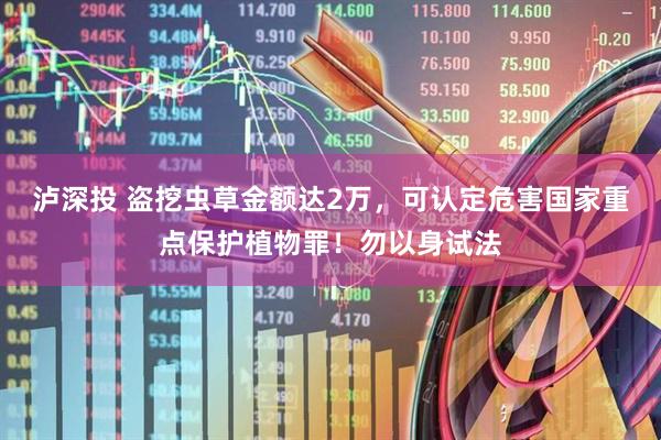 泸深投 盗挖虫草金额达2万，可认定危害国家重点保护植物罪！勿以身试法