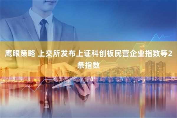 鹰眼策略 上交所发布上证科创板民营企业指数等2条指数