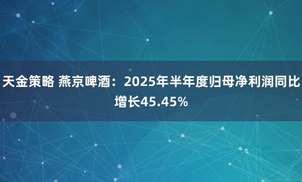 天金策略 燕京啤酒：2025年半年度归母净利润同比增长45.45%