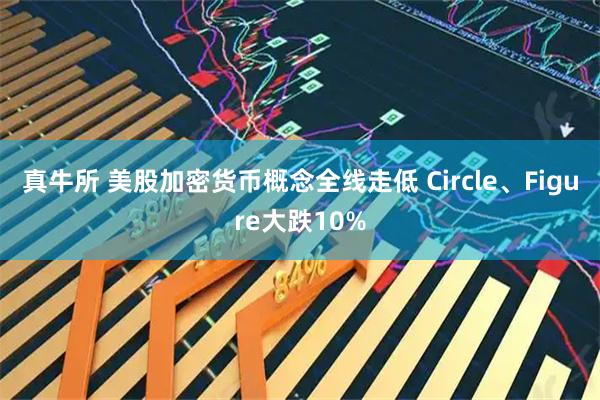 真牛所 美股加密货币概念全线走低 Circle、Figure大跌10%