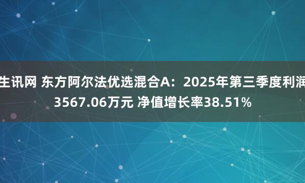 生讯网 东方阿尔法优选混合A：2025年第三季度利润3567.06万元 净值增长率38.51%