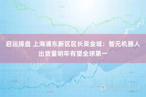 启运操盘 上海浦东新区区长吴金城:智元机器人出货量明年有望全球第一